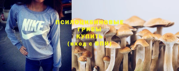 таблы Богданович