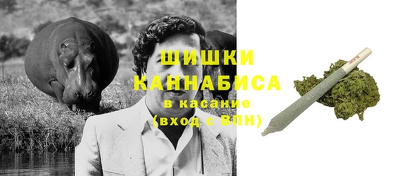 стафф Богородицк