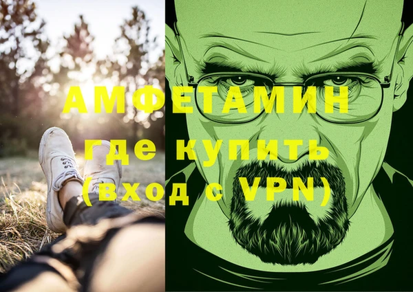 дмт Касимов
