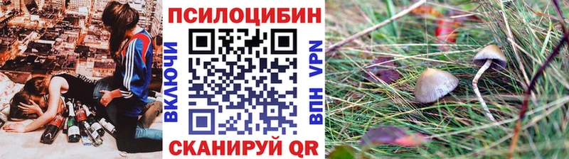 Галлюциногенные грибы Cubensis  мориарти какой сайт  Десногорск 